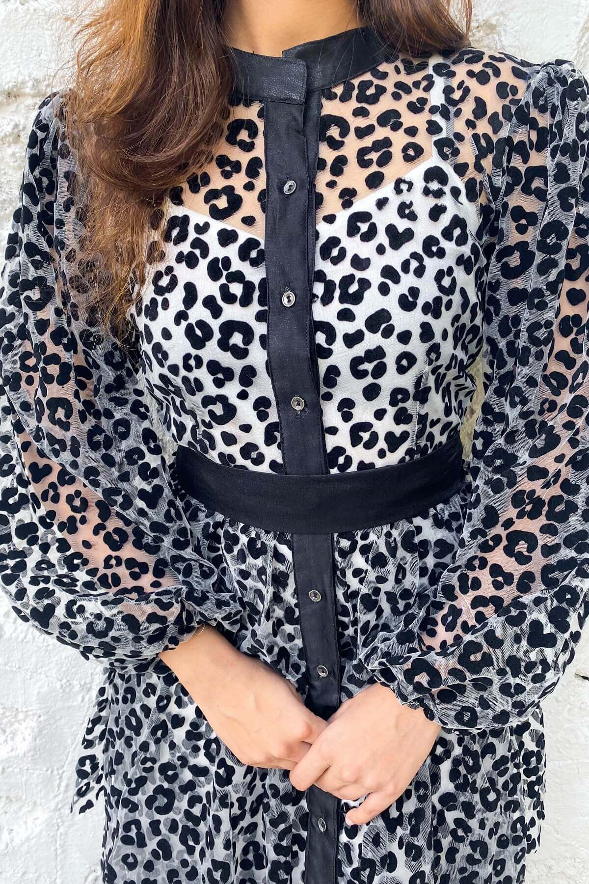 Valentina Net Dress